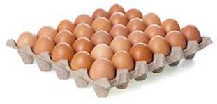 eieren 30 stuks
